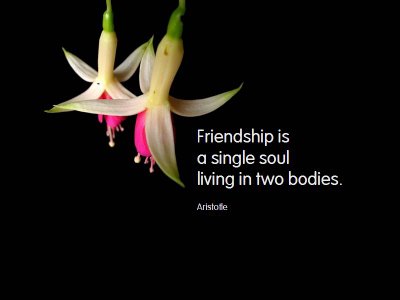 KnowCrazy.com: friendship quotes [updated]