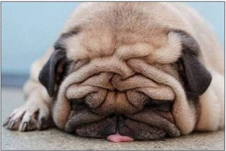 friday.jpg