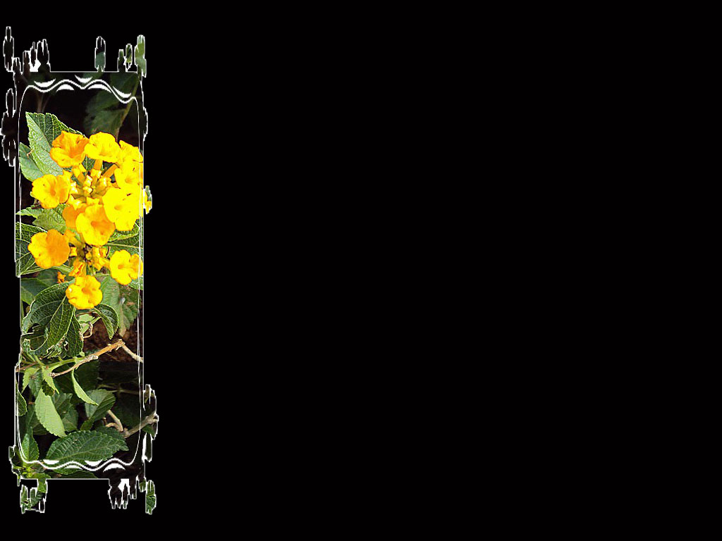 powerpoint backgrounds march