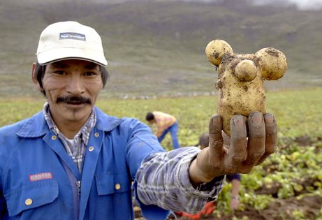 [man+holding+potato.jpg]