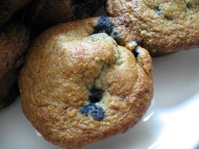 Blueberry Goat Cheese Muffins
