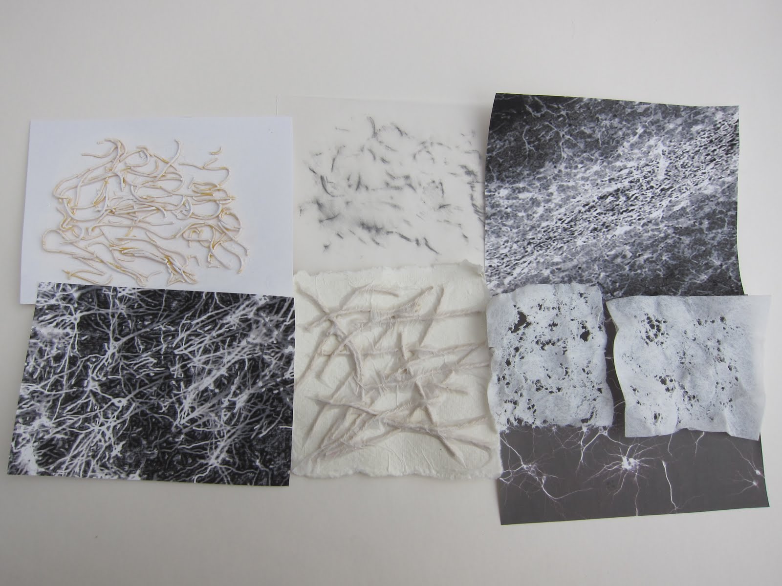 paulasmithdesigns: Texture Study