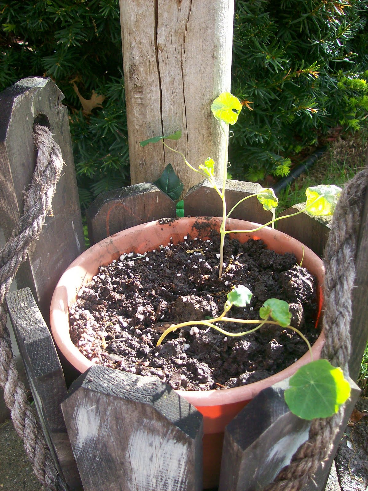 From Seed to Jar Getting Out of the House for a Bit