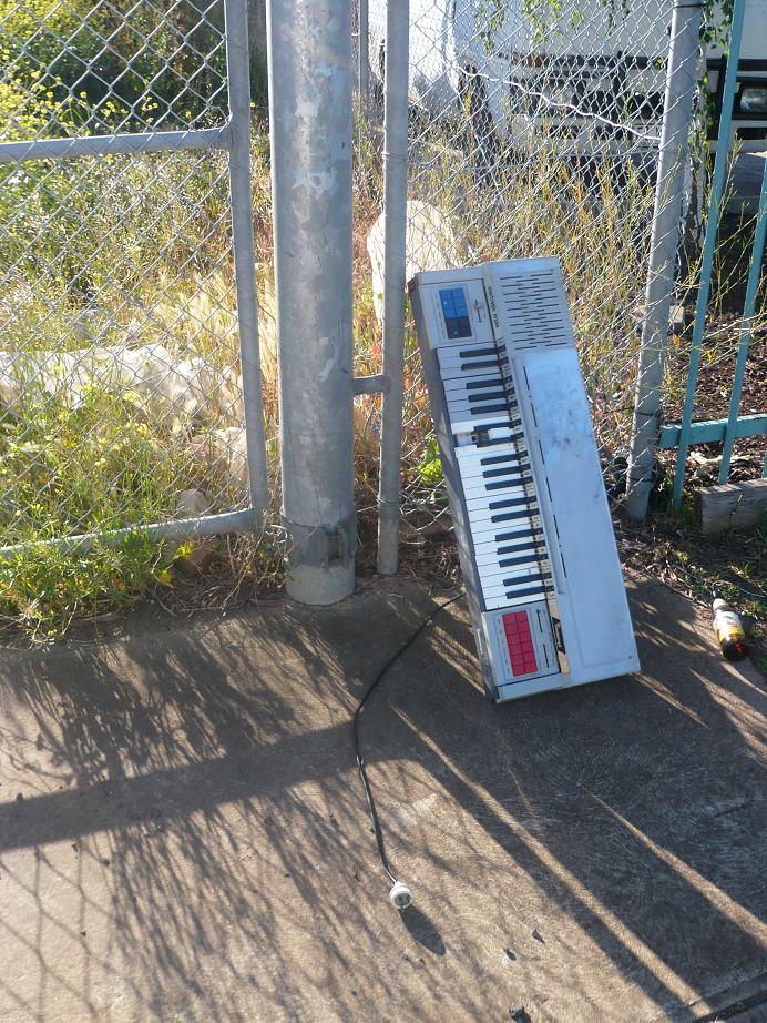 [organ+1+SMALL.JPG]