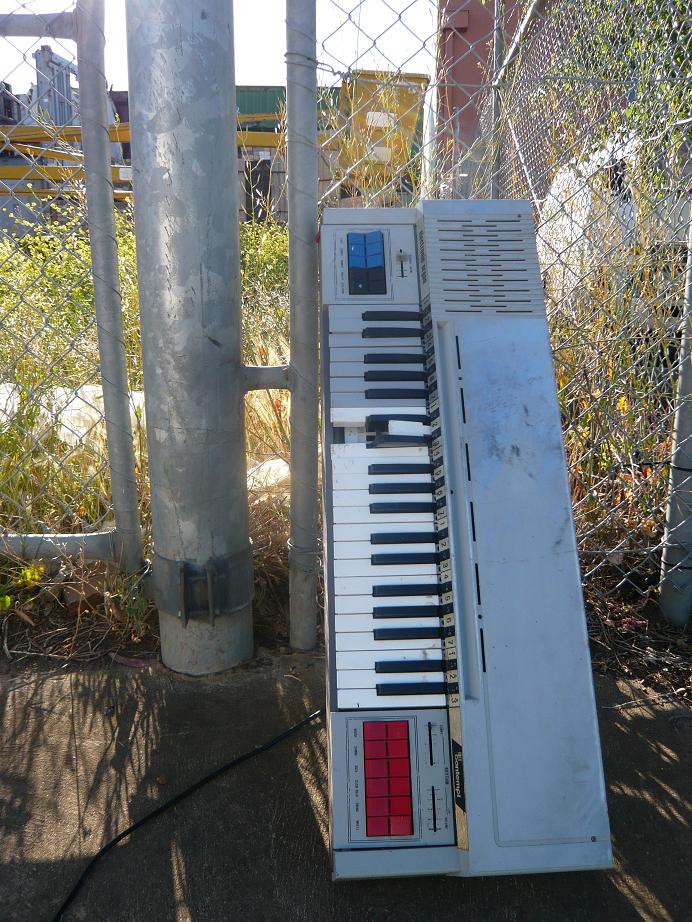 [organ+2+SMALL.JPG]