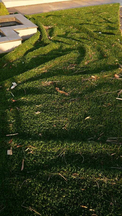 [wobble+grass.JPG]