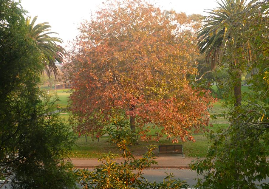 [from+my+balcony.JPG]