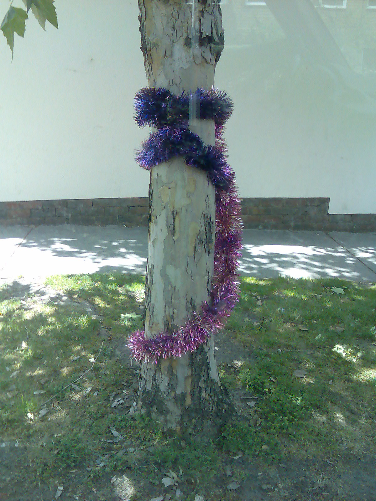 [tinsel+tree.jpg]