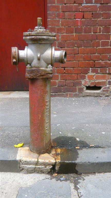 [photo+1892+(Large).jpg]