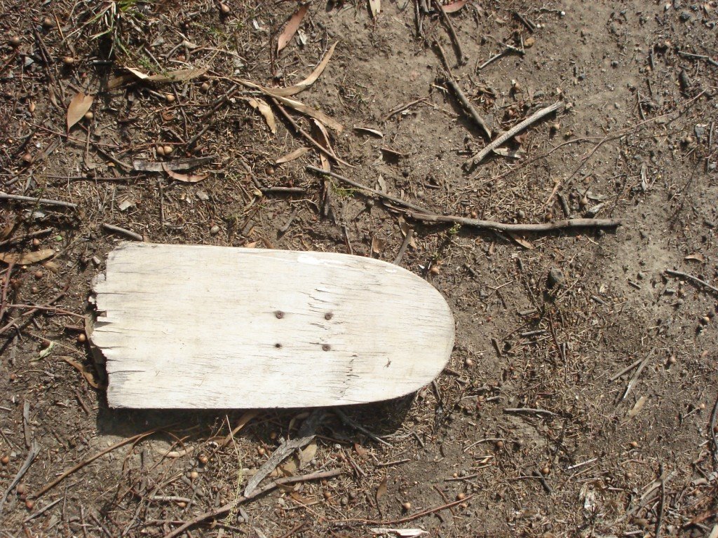 [dead+wood.JPG]