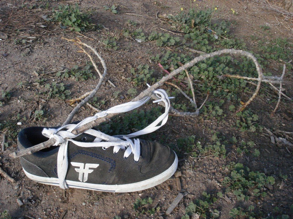 [shoe+tree.JPG]