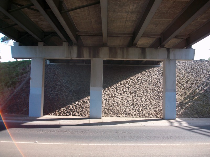 [bird+bridge.JPG]