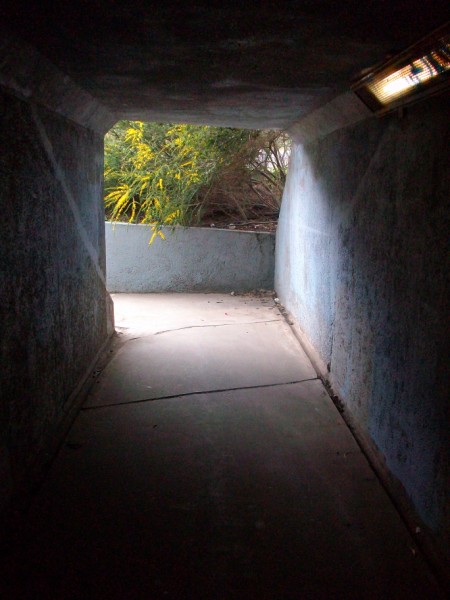 [junky+tunnel+(4).JPG]