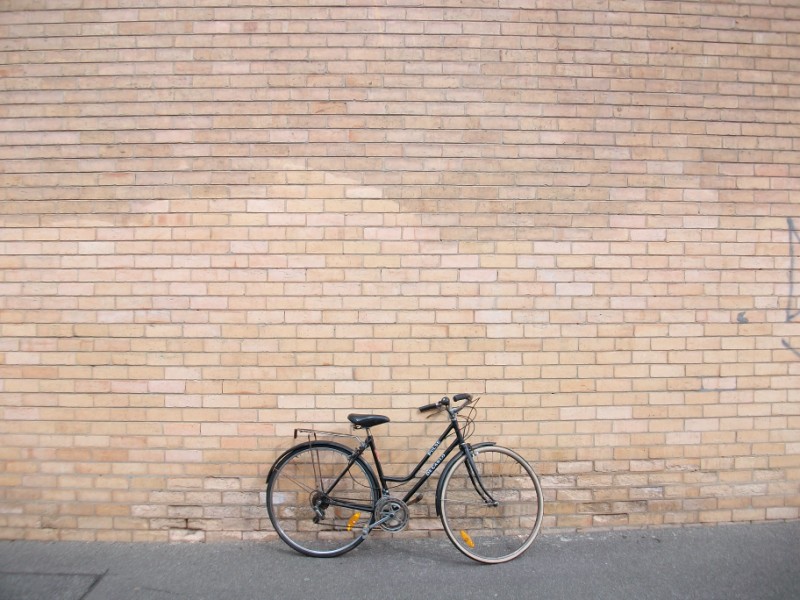 [bikes.JPG]