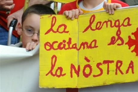 Llengua valenciana, normes valencianes Sobre el