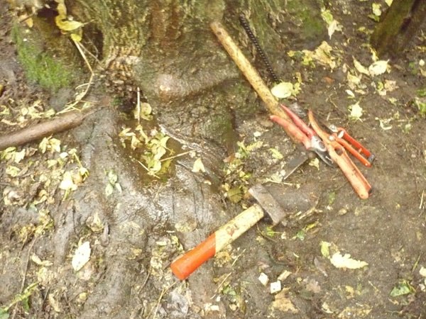 [CASAVIVAORTA02.jpg]