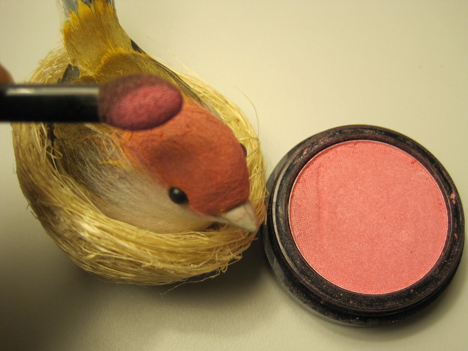 Atelier de Charo Pajarito a Maquillarse Birdie Makeup
