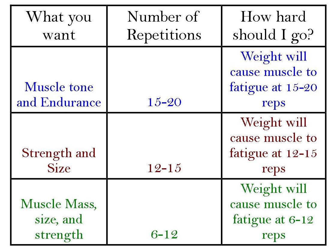 Weight Training Lifting Workout Chart