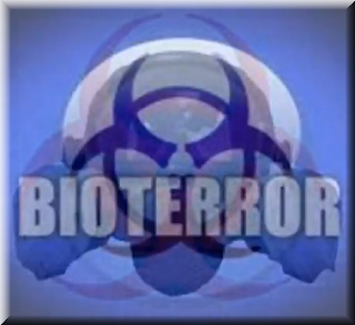 Gripe+Porcina+Bioterror+More+Adwords.png