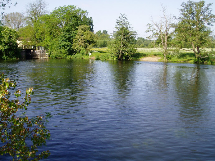 Dedham Mill Pond