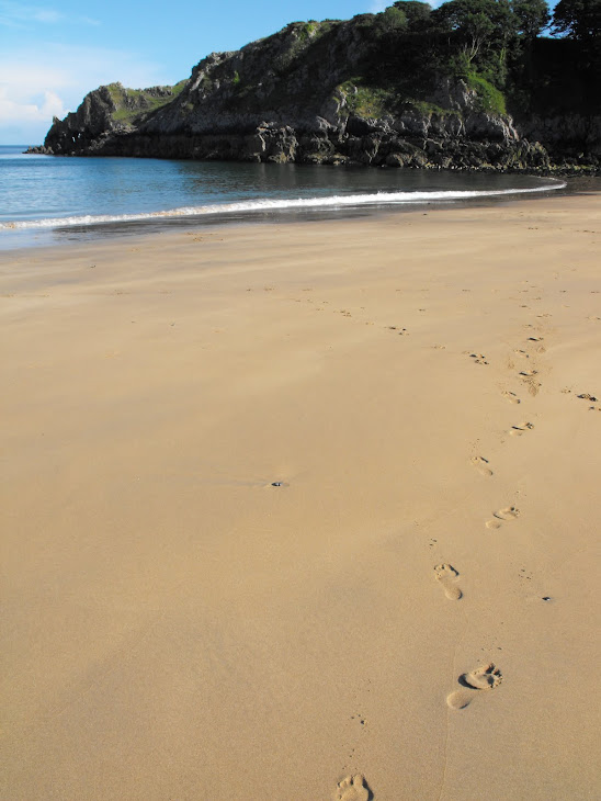 Footprints at Barafundle Beach