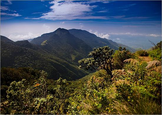 Lonely Planet Sri Lanka Travel Guide Pdf Free Download Lonely Planet Sri Lanka Travel Guide Pdf Free Download