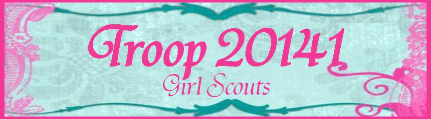 Troop 20141