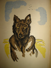 "Dingo", illustré par Pierre Falké, Jonquières, 1923