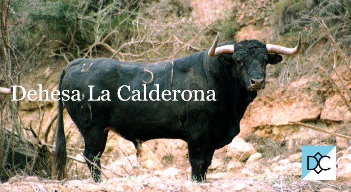 Dehesa La Calderona