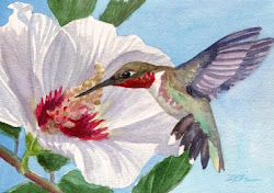 hummingbird hibiscus flower paintings ruby throated watercolor hummingbirds flowers painting oil bird drawings zeh zehoriginalart garden floral