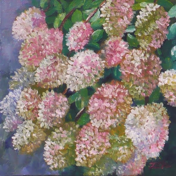 Echoes Of Eden Dayle King Searle Hydrangeas For Alkaline Soil