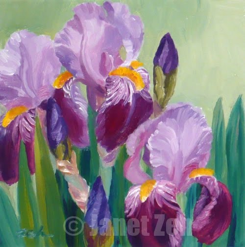 Zeh Original Art Blog Watercolor and Oil Paintings Purple Irises Oil