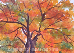 maple watercolor tree painting autumn paintings oil