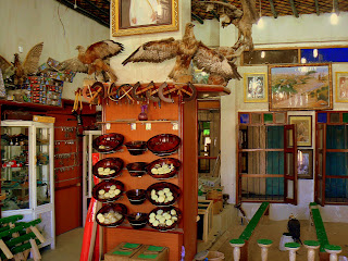 A falconry shop in Souq Waqif
