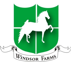 Windsor Farm Saddlebreds