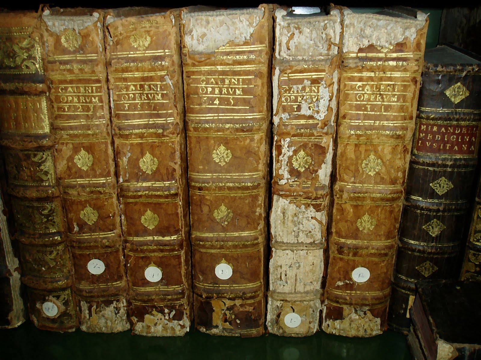 [Copy+of+Reservados2.JPG]