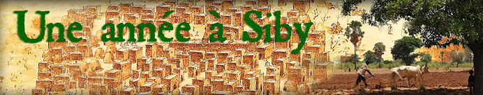 Une année à Siby