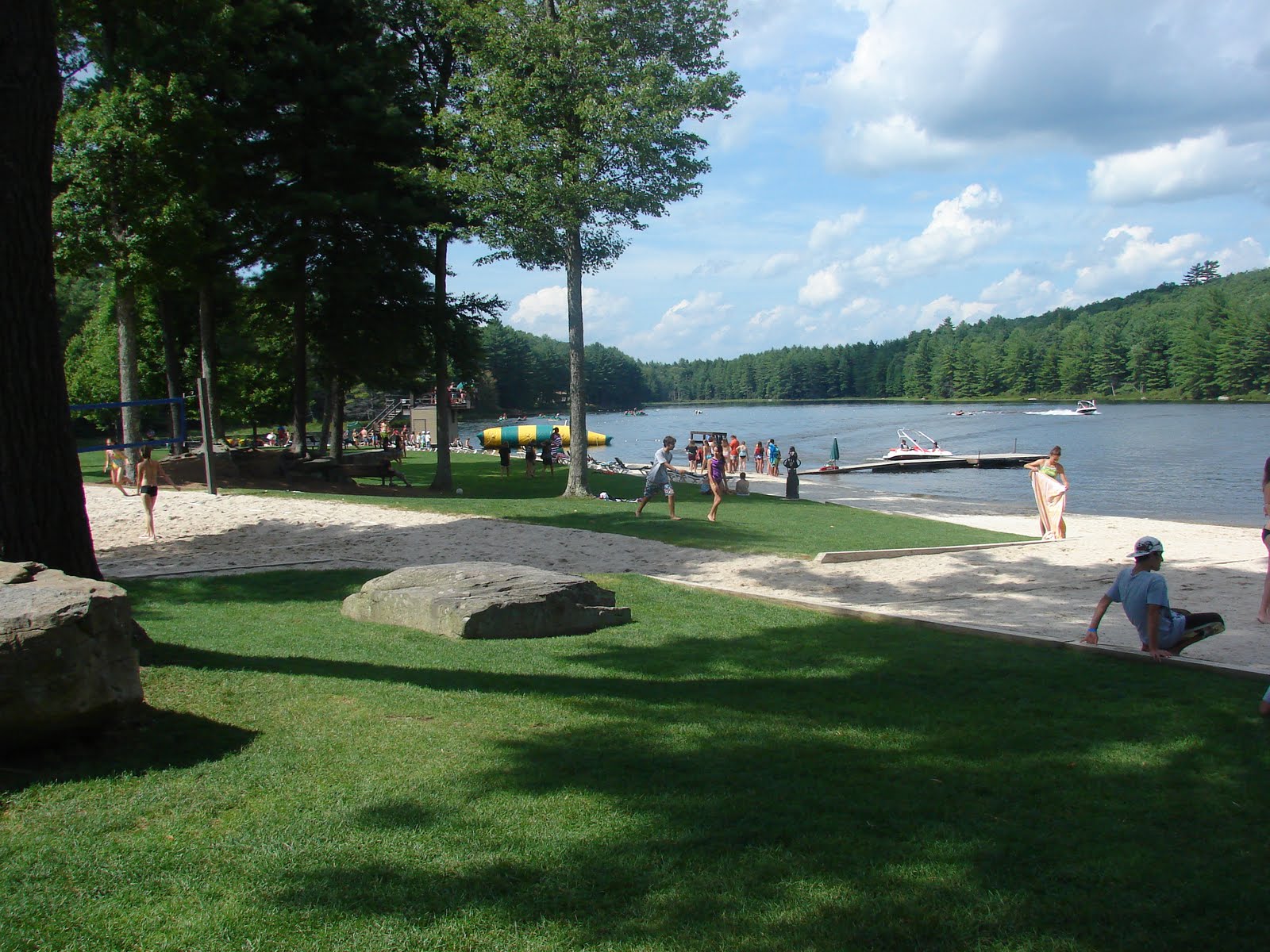 Quilt Vine: Wyldlife Camp