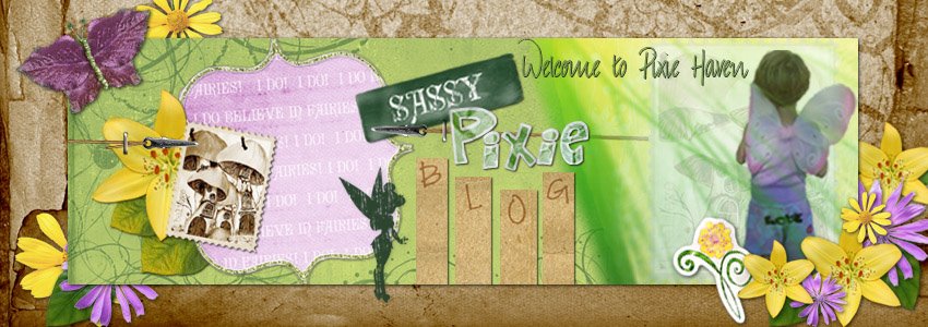SassyPixie Blog