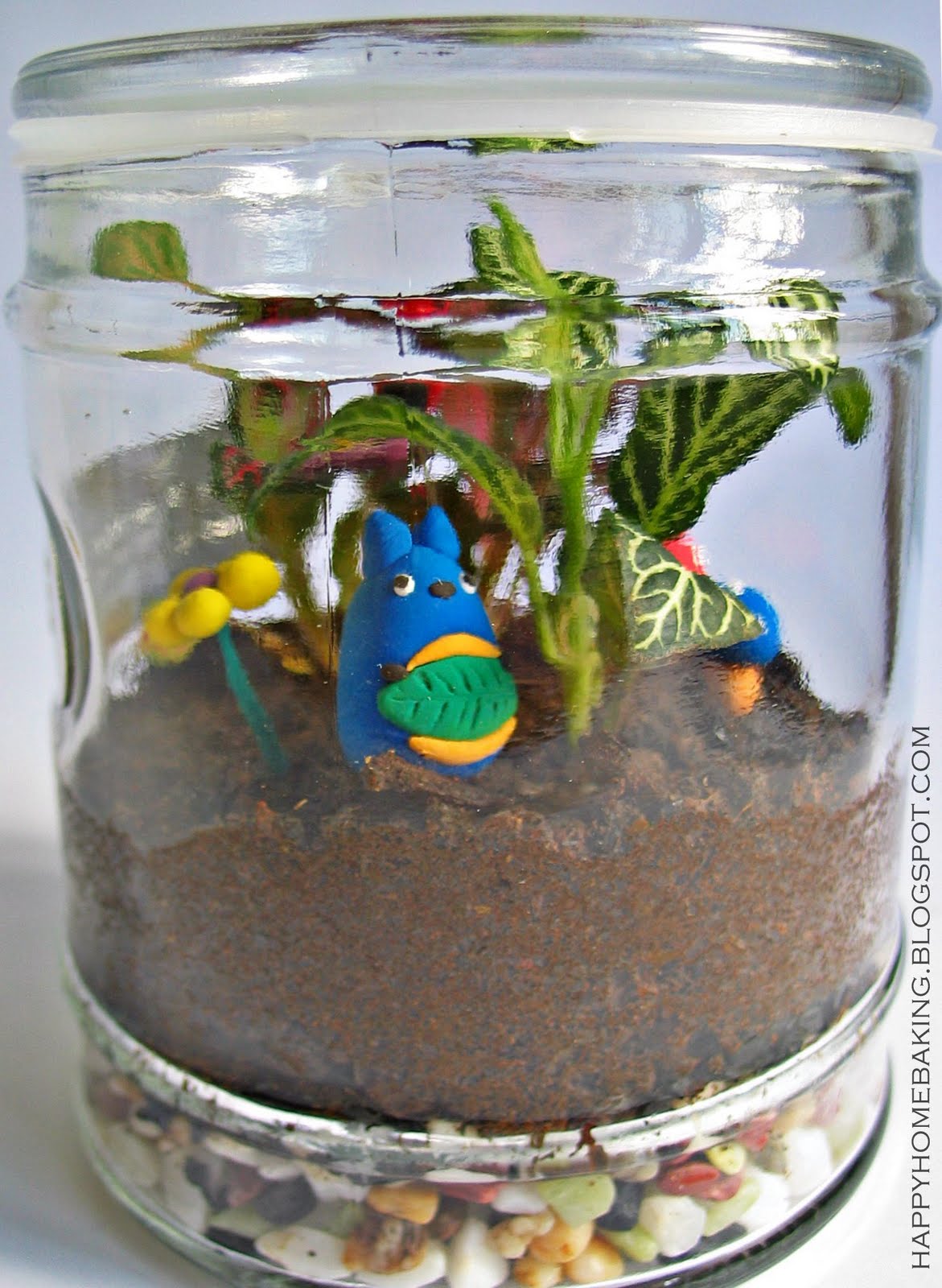 Happy Home Baking Grow a Bottle