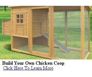 Recommended Reading 'Building A Chicken Coop'