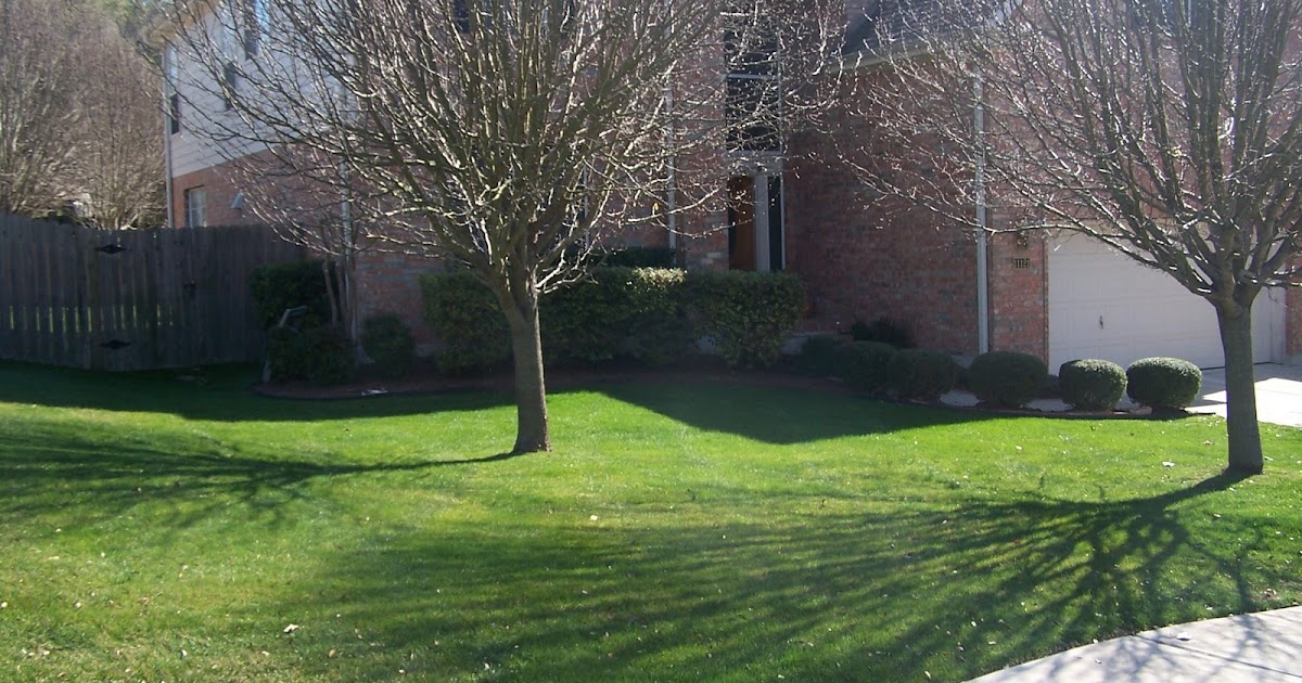 Winter Rye Planting Dates Plant Ideas