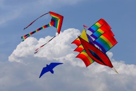 Uttarayana/Makar Sankranti & Pongal: Kite-Flying & Thanksgiving Festival Of India - The Most Important Harvest Festival Of India