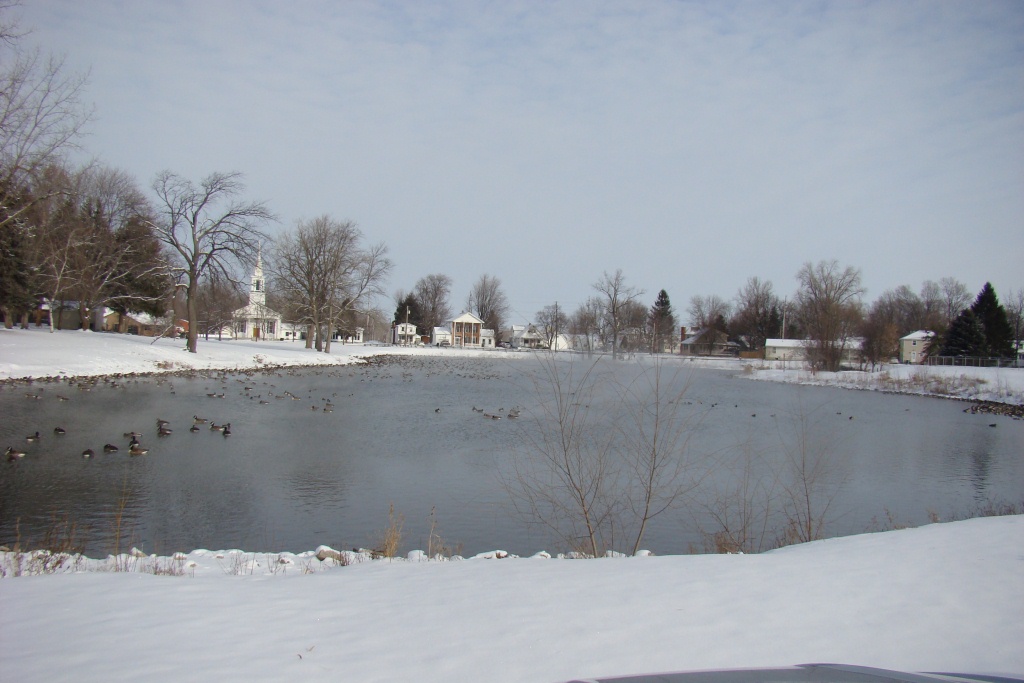 Weedpicker's Journal Castalia's Cold Creek