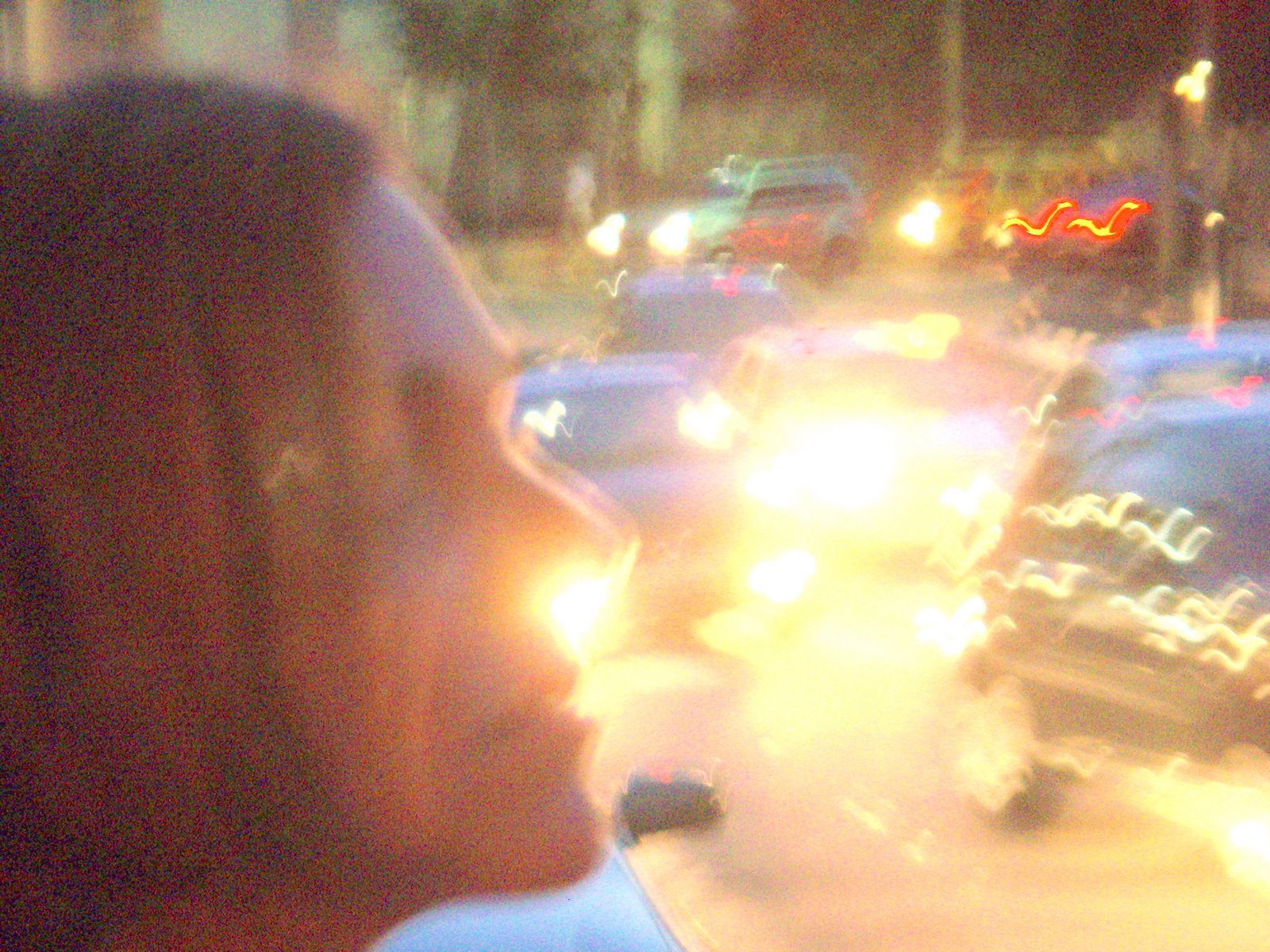 [DSCN4375.JPG]