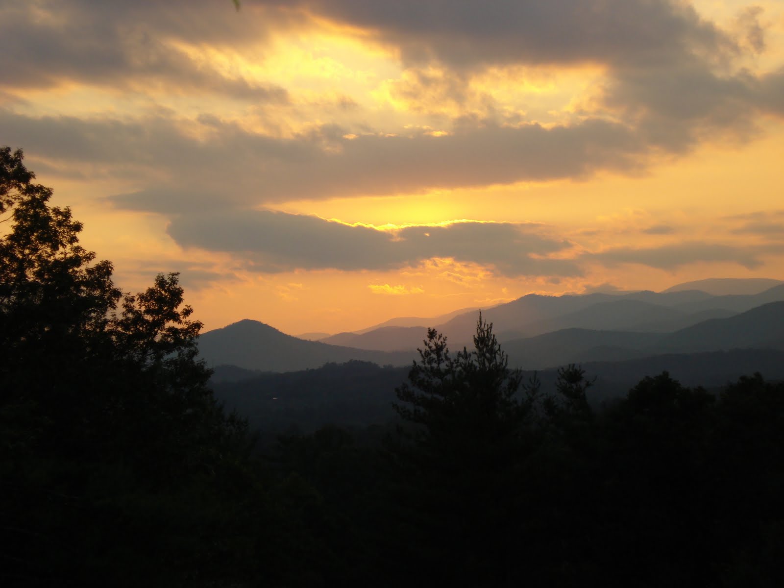 Rose and Thistle Visit Flat Rock North Carolina