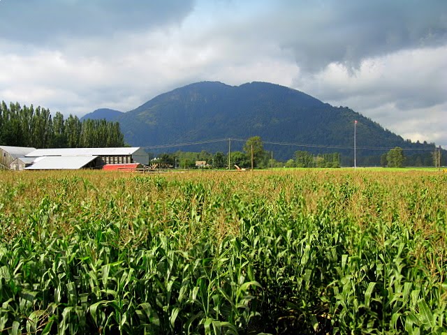 [IMG_0421.JPG]