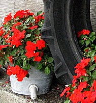 [IMG_0434-1.JPG]