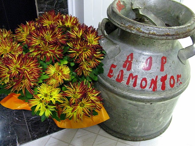 [IMG_0734.JPG]