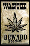 Legalize Cannabis